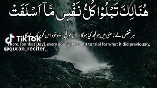 heart touching quran reaction????