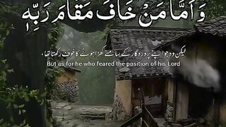 most beautiful quran reaction