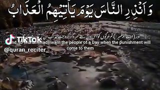 quran reaction really beautiful