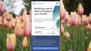 Earn money free syscoin