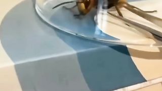 مواقف لاشخاص حظهم نحس ج270