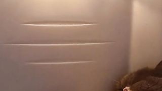 Amazing video