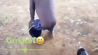 Kids an joy