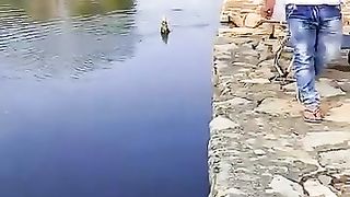 funny videos