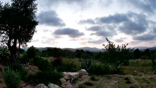 Over a garden