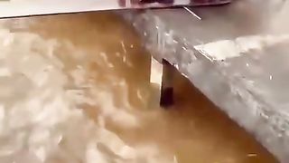 Drowned Motorbike