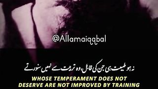 Mashaallah