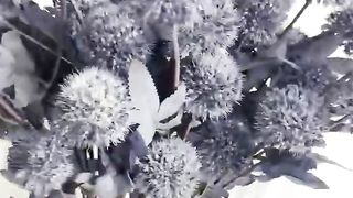 Find top quality artificial decorative