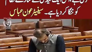 Ek Daidi ne Pori Mulk ko Haqeeqi Azadi Di Hy Us Ne Sary Nizam ko Nanga Kardia. Senator Abbass Awan