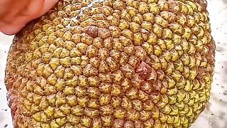 buah apa ini ????