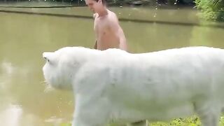WHITE TIGER.
