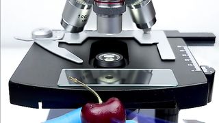 Would you still eat a cherry after seeing it magnified 400 times?#microscope #undermicroscope #fyp #tiktok