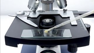Would you still drink coffee after seeing it magnified 400 times?#microscope #undermicroscope #fyp #tiktok