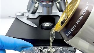 Would you still drink beer after seeing it magnified 400 times?????#microscope #undermicroscope #fyp #tiktok