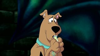 Scooby-Doo!   Shaggy & Scooby Disguises   @wbkids