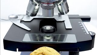 Would you still eat Chips Ahoy after seeing it magnified 400 times?#microscope #undermicroscope #fyp #tiktok #chipsahoy