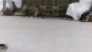 SCARED OF THE RATS.