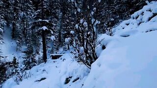 Beauty of Nature