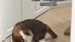 425913548_6779772758795689_4928671171863175858_n.