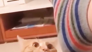 #funny