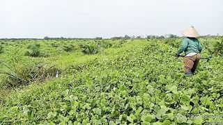 how to care for and clean garden land