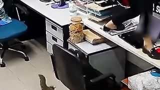 #funny