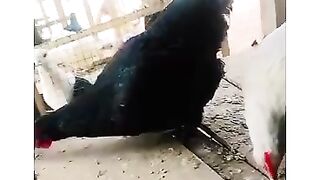 In the same building