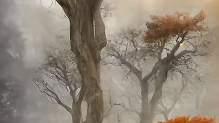 Pin_by_An_Chi_on_Ảnh_nền_[Video]___Nature_photography,_Landscape_art,_Flower_painting.