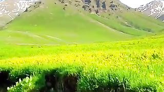 تلاوت القرآن الکریم????