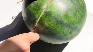 Es semangka susu enak