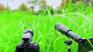 Nature Videogharaphy