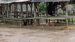 rain in afternoon