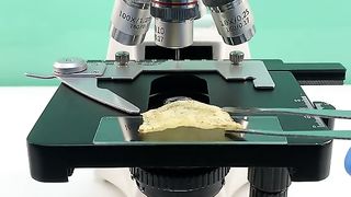 Do you know what chips look like when magnified 400 times under a microscope?#microscope #fyp #tiktok #undermicroscope