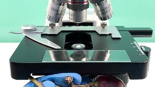 Would you still eat red grapes after seeing them magnified 400 times?#microscope #fyp #tiktok #undermicroscope
