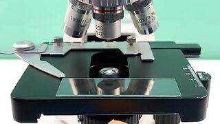 Would you still eat meatballs after seeing them magnified 400 times?#microscope #fyp #tiktok #undermicroscope