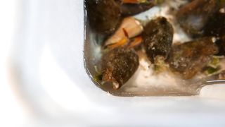 Japanese Street Food - TURTLE HANDS Barnacle Tempura Okinawa Seafood Japan.