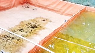 Kolam full kena sinar matahari (outdoor) tidak masalah yang penting air kolam memiliki warna
