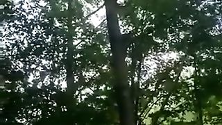 Cutting down trees