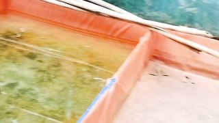 Penetasan telur lele dikolam TERTUTUP (indoor) Kira-kira bisa menetas tidak❓