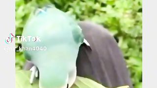 ALLAH pak ke Qudrat best video 2024
