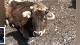 funny |tips |videos |????????????