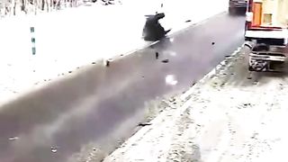 A moose was hit by a car but miraculously survived.