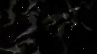 Jika ikan lele kalian sudah seperti ini segera SORTIR jangan diam saja atau malas
