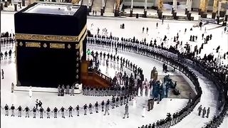 Mashallah ❤️ Beautiful Video # #allah #islamicvideo