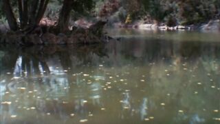 Friday the 13th Part III (1982)
