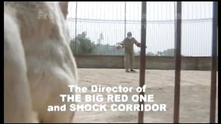 White Dog (1982)