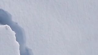 The movement of wolves in deep snow