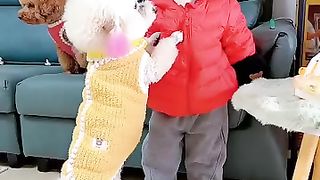 Dog so caring. Must Watch