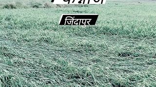 Best video 2024