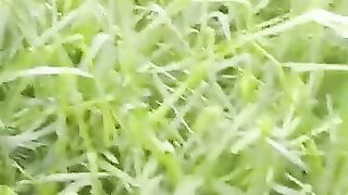 Best video 2024